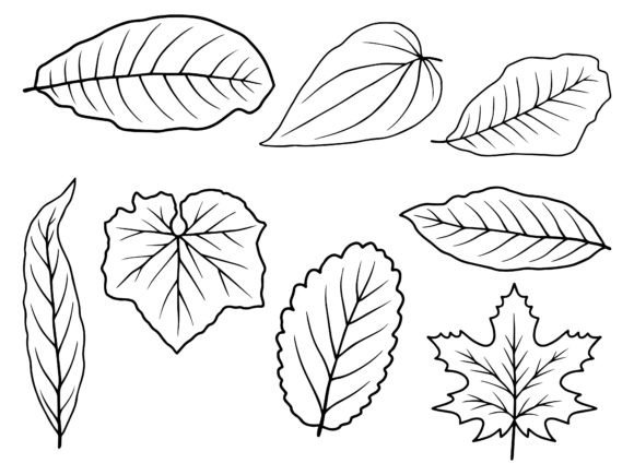 Download Leaf Line Art Illustration - Line art Collection