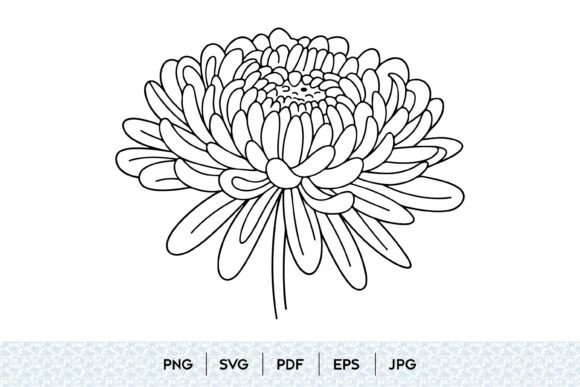 Download Chrysanthemum Flower Line Art SVG - Line art Collection