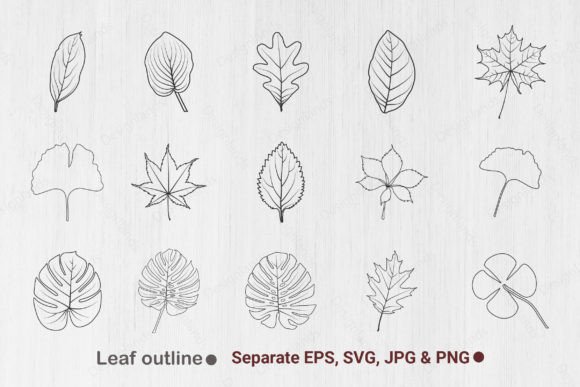 Download Leaf Outline, Leaves Line Art, Leaf Svg - Line art Collection