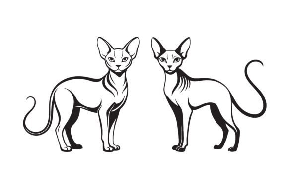 Download Sphynx Cat Line Art Silhouette Bundle. - Line art Collection