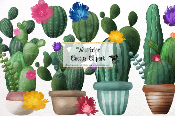 Download Watercolor Cactus Clipart - Premium Resources
