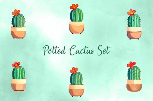 Download Potted Cactus Set - Premium Resources