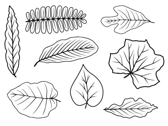 Download Leaf Line Art Illustration - Line art Collection